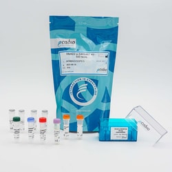 Revvity Health Sciences Inc&nbsp;HTRF Human & Mouse Phospho-SMAD2 (Ser465/467) Detection Kit, 500 Assay Points