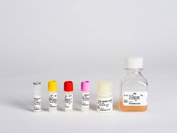Lonza Walkersville CGM Chondrocyte Growth Medium SingleQuots Supplements and Growth Factors