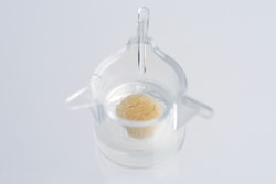 GENOSKIN NativeSkin access 8mm - Ex vivo human skin model, Quantity: Each