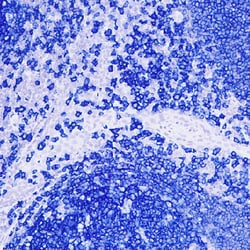 Leica Biosystems&nbsp;BLUE CHROMOGEN