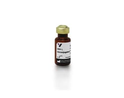Vector Laboratories LEL, TL, DyLight 649, 1 mg L-1060-2, Quantity: Each