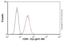 Abcam Anti-CD63 antibody [NK1/C3], Quantity: Each of 1