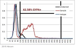 Abcam Rat monoclonal [YTH89.1] to Glycophorin A, Quantity: Each of 1