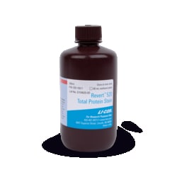 LI COR BIOTECH LLC Revert 520 Total Protein Stain for Western Blot Normalization