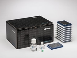 Lonza Walkersville SF Cell Line 384-well Nucleofector Kit, Quantity: Each