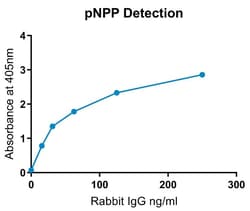Abcam Alkaline Phosphatase Conjugation Kit (Animal Free) - Lightning-Link, 100UG