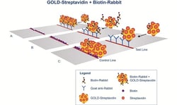 Abcam Streptavidin Gold Conjugate¿(40nm, 10 OD)