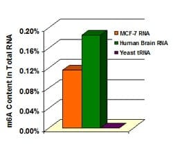 Abcam m6A RNA Methylation Assay Kit (Colorimetric), Quantity: Each of 1