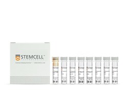STEMCELL Technologies&nbsp;EasySep&trade; Release Mouse CD138 Positive Selection Kit, For processing: 2 x 10^9 cells