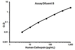Abcam Human Cathepsin S ELISA Kit (CTSS), Quantity: Each of 1