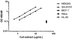 Abcam Human p53 ELISA Kit, 1 x 96 Tests, Quantity: Each of 1