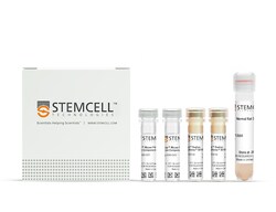 STEMCELL Technologies EasySep Mouse F4/80 Positive Selection Kit, For processing: