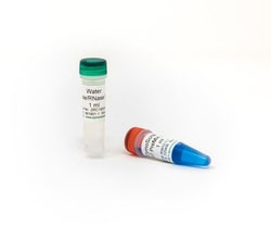 Zymo Research Corporation ZymoScript RT PreMix Kit