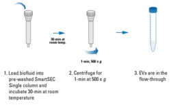 System Biosciences LLC&nbsp;SMARTSEC EV ISOLATION KITSmartSEC Single EV Isolation System = 10 Reactions
