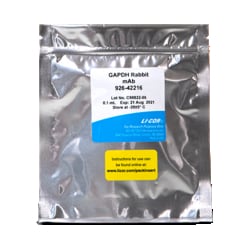 LI COR BIOTECH LLC GAPDH Rabbit Monoclonal Antibody for Normalization (100