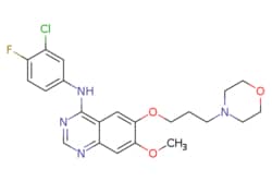 eMolecules​&nbsp;4-[(3-Chloro-4-fluorophenyl)amino]-7-methoxy-6-(3-morpholinopropoxy)quinazoline | 184475-35-2 | MFCD04307832 | 10g