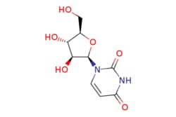 eMolecules​ Arabinofuranosyluracil | Combi-Blocks | 3083-77-0 | MFCD00065998