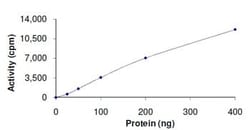 Abcam Recombinant human PLK3 protein, 10UG, Quantity: Each of 1
