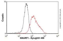 Abcam Mouse monoclonal [1D7] to SMURF1, Quantity: Each of 1
