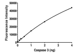 Abcam Recombinant human Cleaved Caspase-3 protein, Quantity: Each of 1