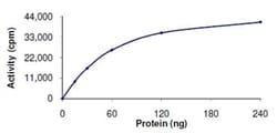 Abcam Recombinant human TYK2 protein, 10UG, Quantity: Each of 1