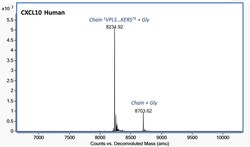Abcam Recombinant human CXCL10/IP10 protein (Active), 100UG, Quantity: