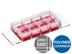 Ibidi USA U-SLIDE 8 wells, HIGH GRID 500 um, Box of 15, Quantity: Each