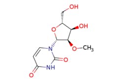 eMolecules​ 2'-O-Methyluridine | 2140-76-3 | MFCD00056054 | 25g, Quantity: