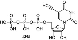 Abcam 5-Ethynyl-UTP (5-EUTP) (aqueous solution), Nucleotide analog, 25UL,