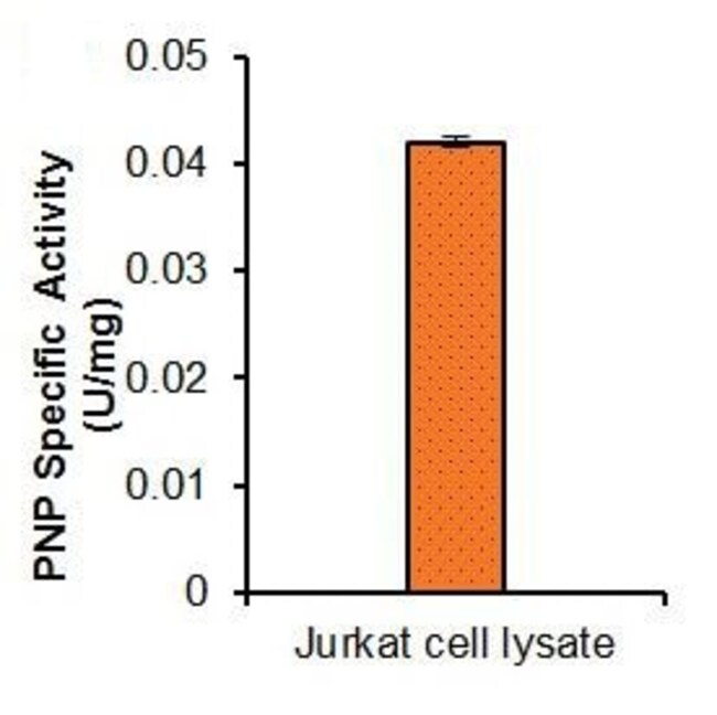 Abcam Purine Nucleoside Phosphorylase Activity Assay Kit (Fluorometric
