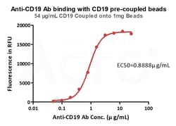 ACROBiosystems&nbsp;Human CD19-coupled Magnetic Beads, 2 mg, Superparamagnetic, Biotinylated CD19 to Streptavidin