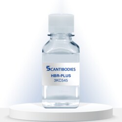 SCANTIBODIES LABORATORY INC HBR PLUS (3KC545) 1.0G