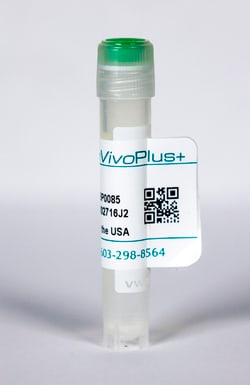 Bio X Cell InVivoPlus Mouse Isotype Control, IgG2a, 100 MG, Quantity: Each