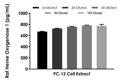 Abcam Rat Heme Oxygenase 1 ELISA Kit, 1 x 96 Tests, Quantity: Each of 1