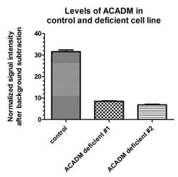 Abcam Human Fatty Acid Oxidation In-Cell ELISA Kit, 1 x 96 Tests, Quantity: