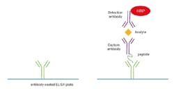 Abcam SimpleStep ELISA Custom ELISA Kit, 5 x 96 Tests, Quantity: Each of