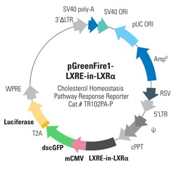 System Biosciences LLC&nbsp;PGREENFIRE1-LXRE IN LXRA HEPG2 CELL LINE