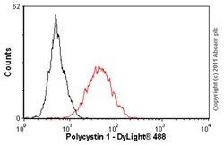 Abcam Anti-Polycystin 1/PC1 antibody 7e12.100ug.Mouse monoclonal [7e12]