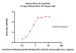 ACROBiosystems Mouse DLL3 Protein, His Tag (Ala 25-Arg 488), HEK293-expressed,