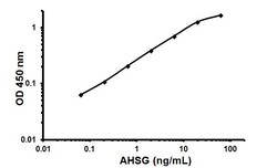 Abcam Human Fetuin A ELISA Kit (AHSG), 1 x 96 Tests, Quantity: Each of