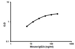 Abcam Mouse IgG2c ELISA Kit, Quantity: Each of 1