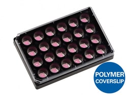 Ibidi USA Culture-Insert 2 Well 24, #1.5 polymer coverslip