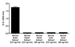 Abcam Mouse GFAP ELISA Kit, Quantity: Each of 1