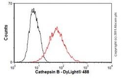Abcam Anti-Cathepsin B antibody [CA10] (ab58802) 50ug, Quantity: Each of