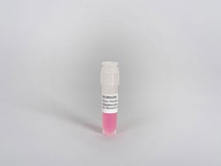 Lonza Walkersville Human Hepatocytes, Cryopreserved, Plateable, Quantity: