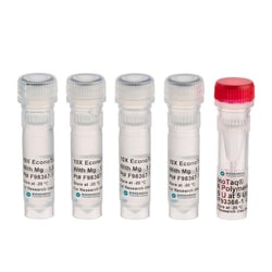 BIOSEARCH TECHNOLOGIES INC (Lucigen) EconoTaq DNA Polymerase (separate