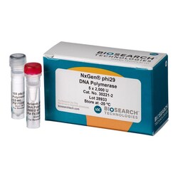 BIOSEARCH TECHNOLOGIES INC (Lucigen) NxGen phi29 DNA Polymerase, 2,000