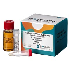 BIOSEARCH TECHNOLOGIES INC (Lucigen) E. cloni EXPRESS BL21(DE3)Chemically Competent Cells,12 Rxns (DUOs)