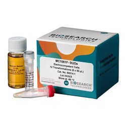 BIOSEARCH TECHNOLOGIES INC (Lucigen) MC1061 F- Electrocompetent Cells,