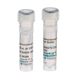 LGC GENOMICS LLC&nbsp;(Lucigen) Exonuclease III, 25,000 U @ 200 U/LDigest duplex DNA in a 3 to 5 direction from a nick, blunt end, or 3-recessed end, producing stretches of ssDNA.